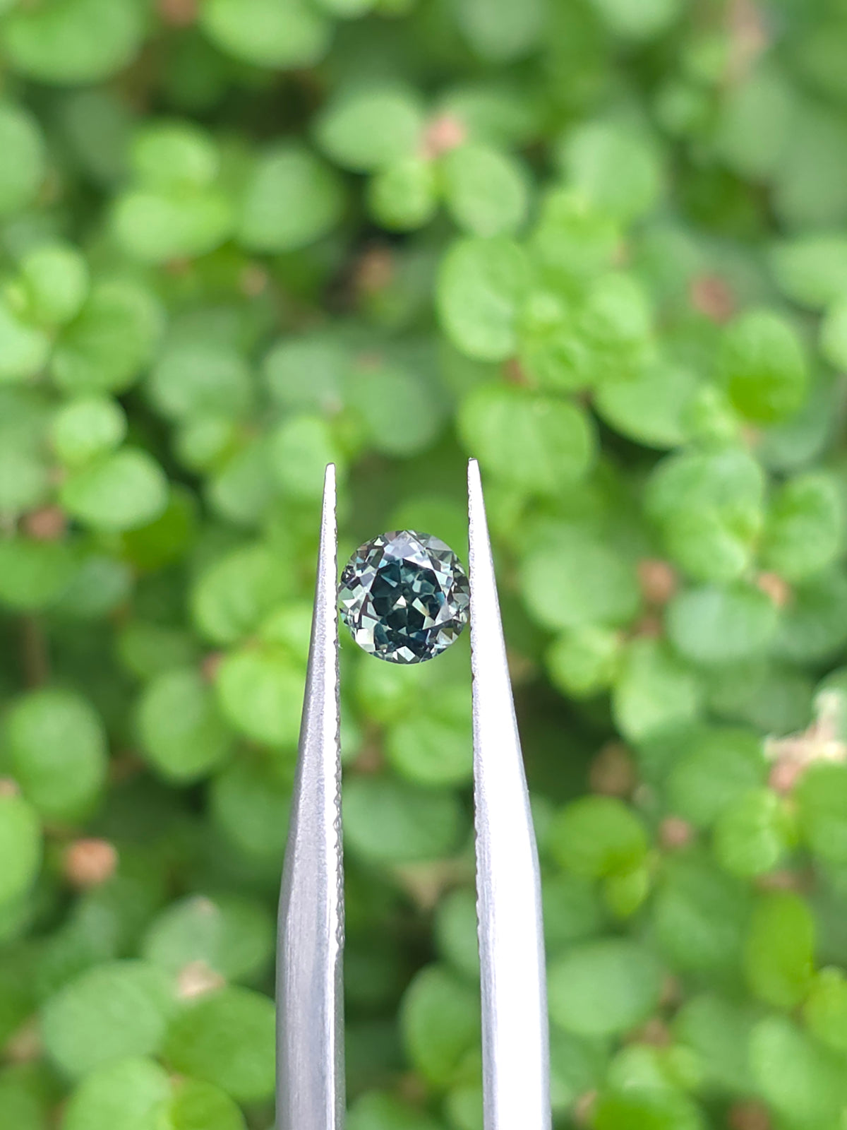 0.25ct Australian Sapphire Green Round Cut