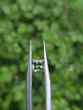 0.47ct Australian Green Sapphire Square Cut