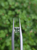 0.47ct Australian Green Sapphire Square Cut