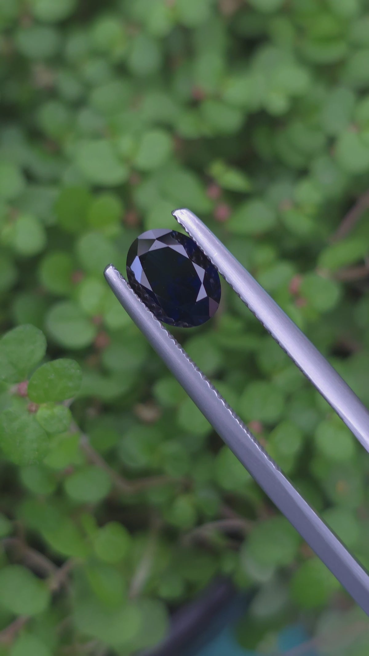 1.30ct Australian Sapphire Blue Oval Cut