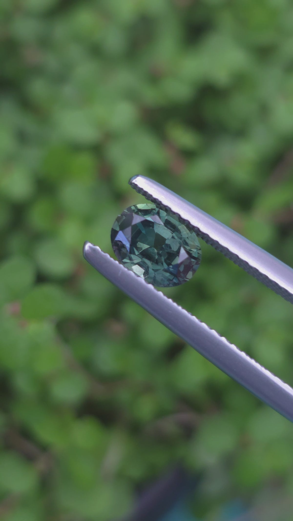 1.15ct Australian Sapphire Green Oval Cut