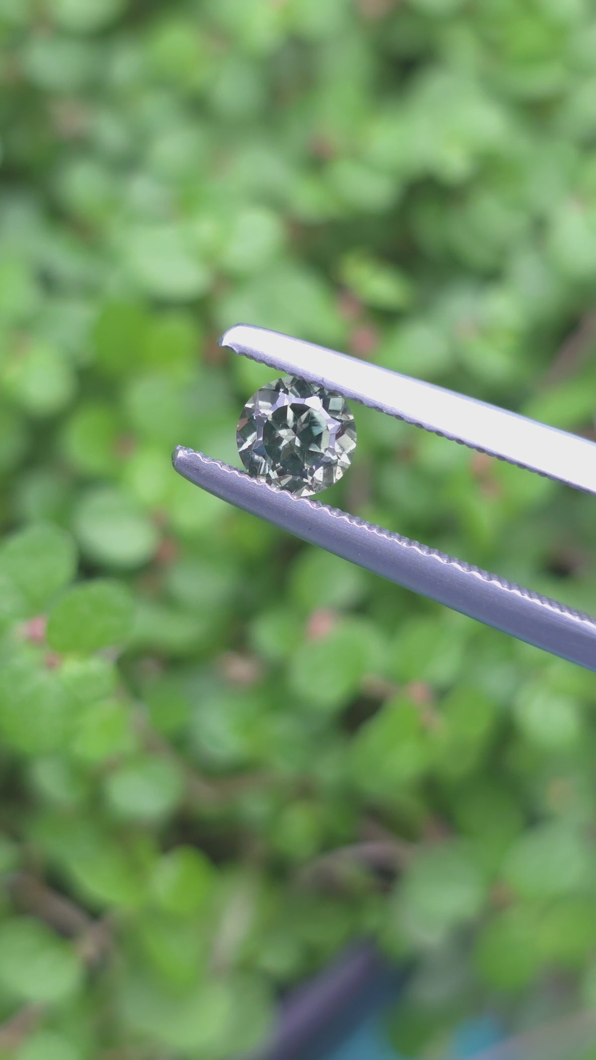 0.50ct Australian Sapphire Green Round Cut