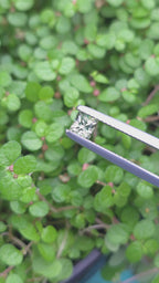0.47ct Australian Green Sapphire Square Cut